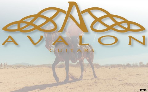 The Magnificent Seven: Avalon Guitars in Musicmaker